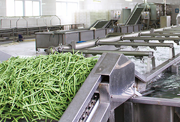 Fruit & Vegetable Processing Line