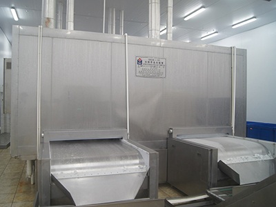 Solid Band Tunnel Freezer