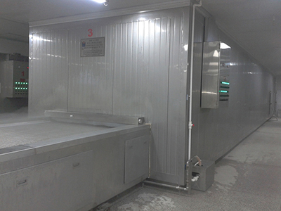 Impingement Belt Tunnel Freezer