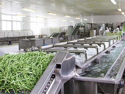 Fruit & Vegetable processing line